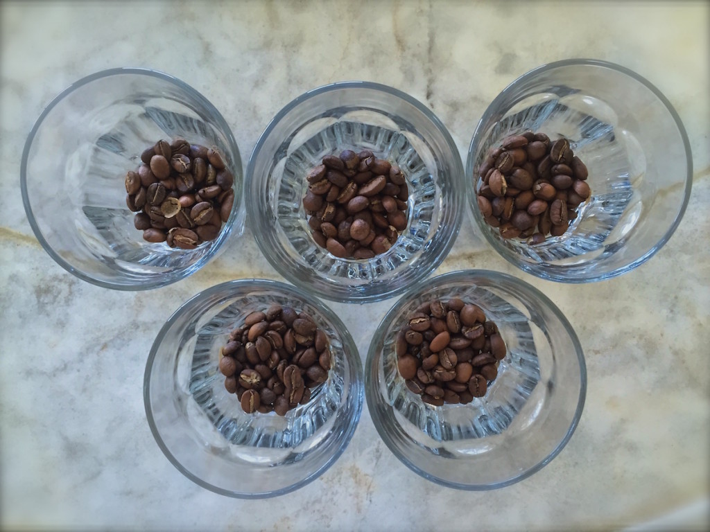 3.1 Coffee Origins Cupping